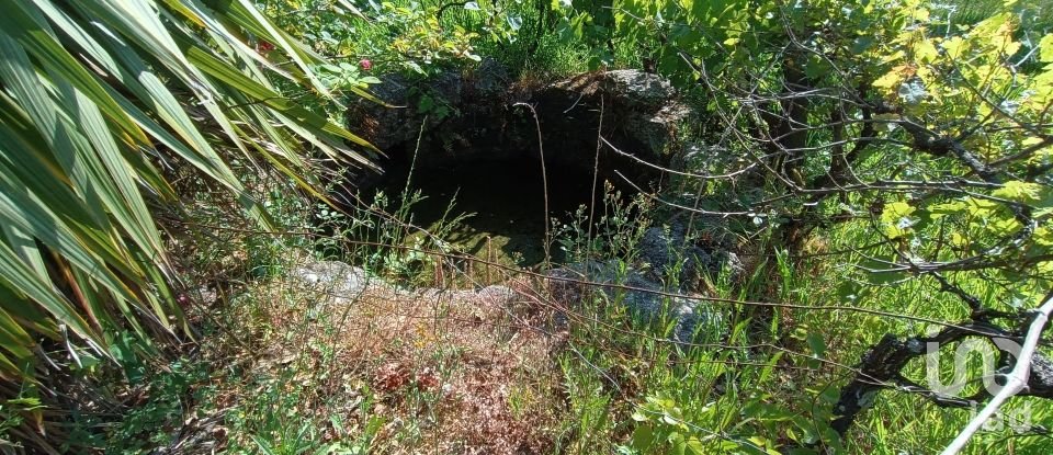 Terreno rústico em Moimenta da Serra e Vinhó de 2 126 m²