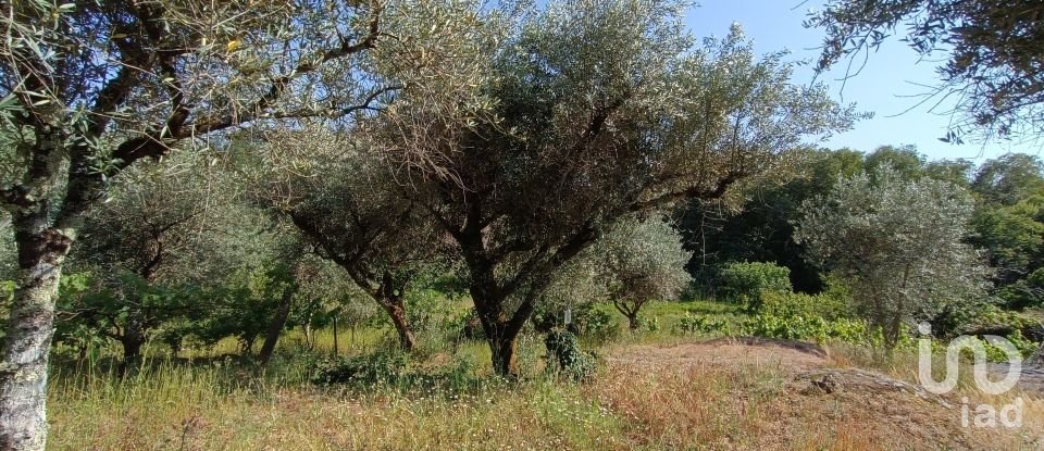 Terreno rústico em Moimenta da Serra e Vinhó de 2 126 m²