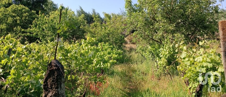 Terreno rústico em Moimenta da Serra e Vinhó de 2 126 m²