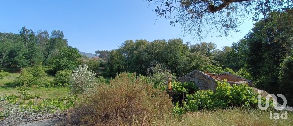 Terreno rústico em Moimenta da Serra e Vinhó de 2 126 m²