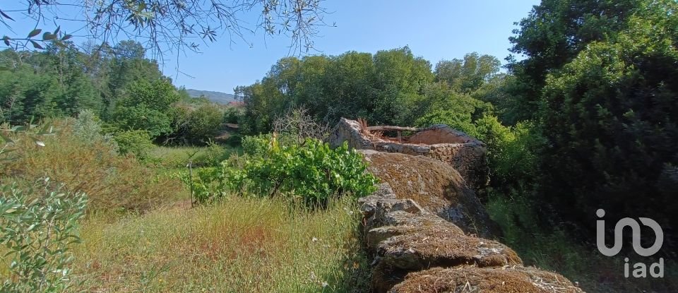 Terreno rústico em Moimenta da Serra e Vinhó de 2 126 m²