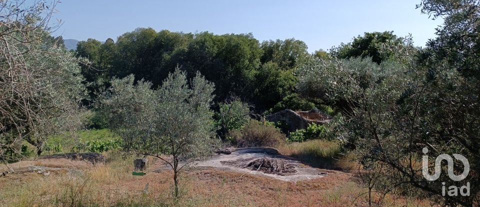 Terreno rústico em Moimenta da Serra e Vinhó de 2 126 m²