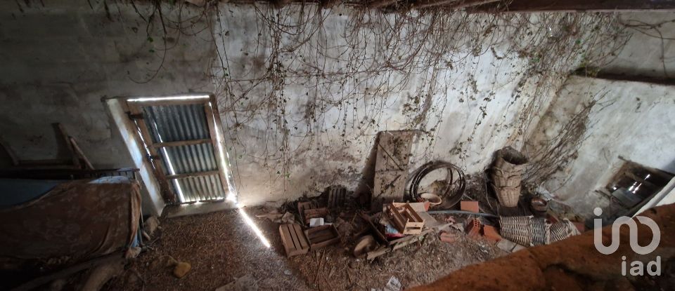 Maison de village T0 à Santo Isidoro de 163 m²