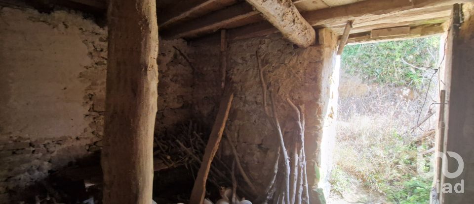 Maison de village T0 à Santo Isidoro de 163 m²