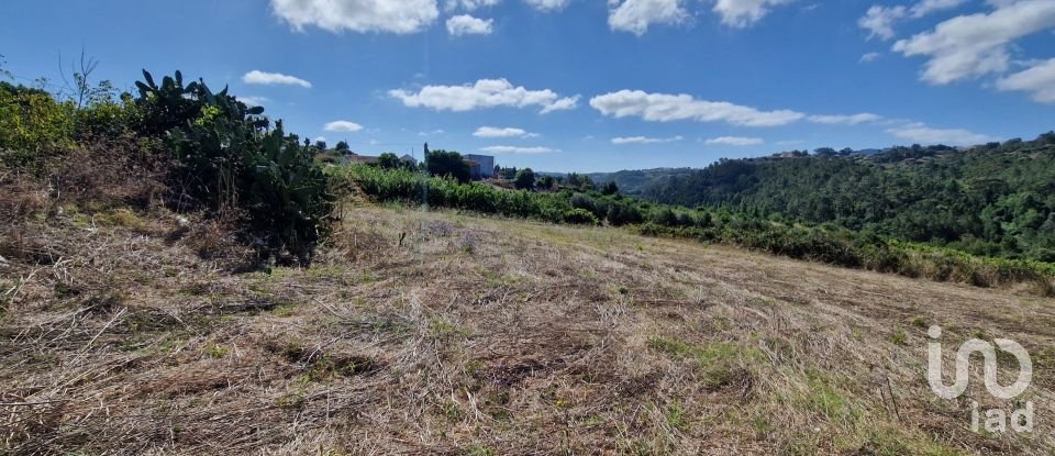 Maison de village T0 à Santo Isidoro de 163 m²