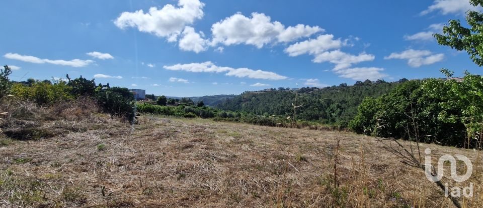 Maison de village T0 à Santo Isidoro de 163 m²