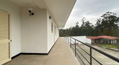 Lodge T4 in Sanguedo of 400 m²
