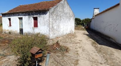 Lodge T2 in Marinhais of 63 m²