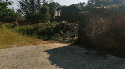 Maison rustique T0 à Graça de 261 m²