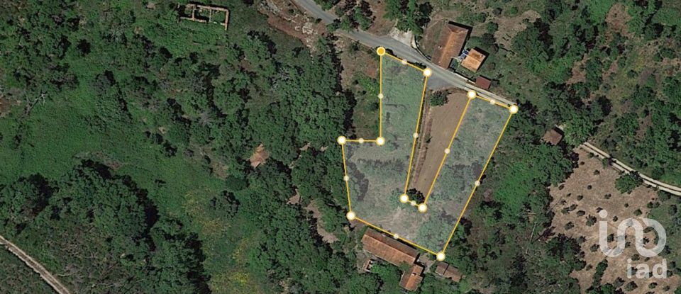 Country home T0 in Graça of 261 m²