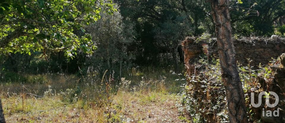 Country home T0 in Graça of 261 m²