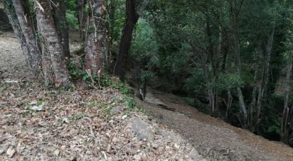 Terrain à Pedrógão Grande de 1 800 m²