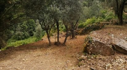 Terrain à Pedrógão Grande de 1 800 m²