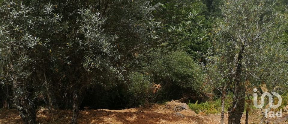 Terreno em Pedrógão Grande de 1 800 m²