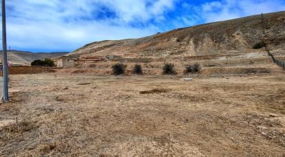 Terrain à Porto Santo de 43 240 m²