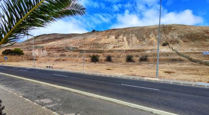 Terrain à Porto Santo de 43 240 m²