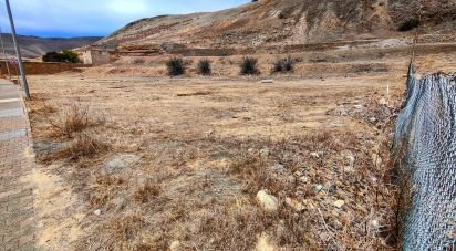 Terrain à Porto Santo de 43 240 m²