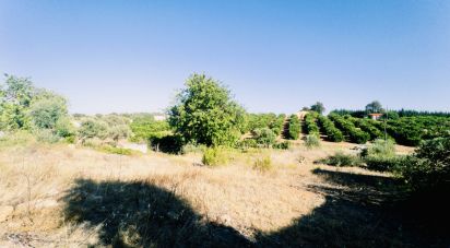 Land in Castro Marim of 1,271 m²