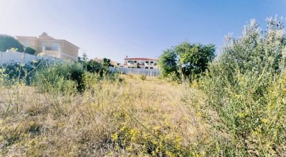 Land in Castro Marim of 1,271 m²