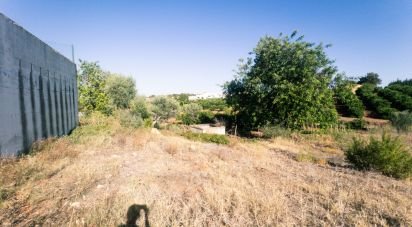 Land in Castro Marim of 1,271 m²