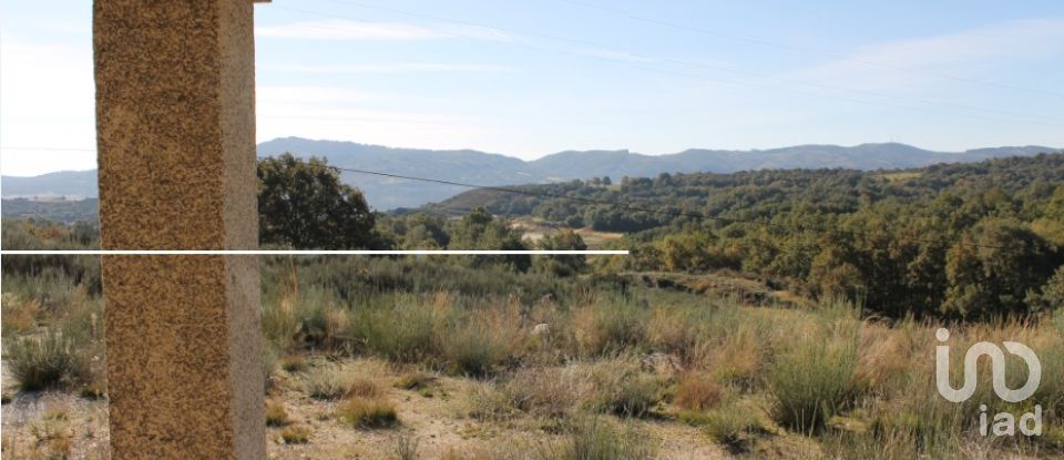 Terreno em Montalegre e Padroso de 9 250 m²