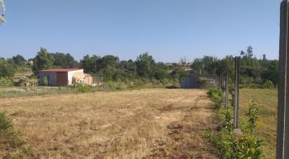 Land in Pinheiro de Ázere of 780 sq m