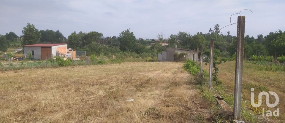 Land in Pinheiro de Ázere of 780 m²