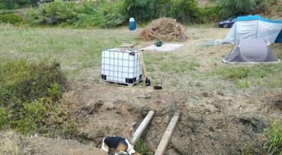 Terrain à Montargil de 7 000 m²