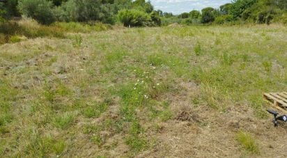 Terrain à Montargil de 7 000 m²