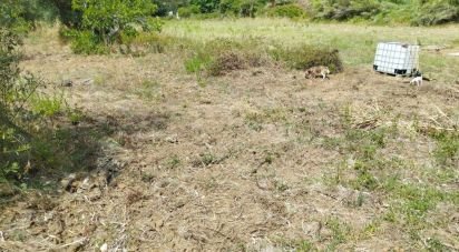 Terrain à Montargil de 7 000 m²