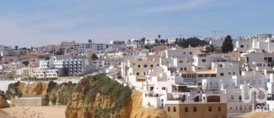 Terrain à São Bartolomeu de Messines de 582 m²