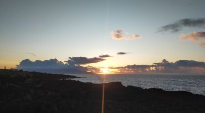 Maison T2 à Bandeiras de 120 m²