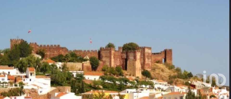 Terrain à São Bartolomeu de Messines de 582 m²