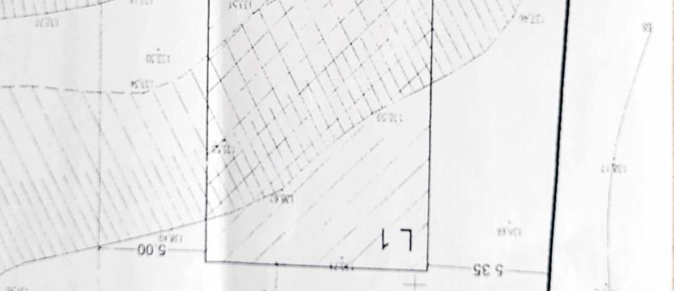 Terrain à São Bartolomeu de Messines de 582 m²