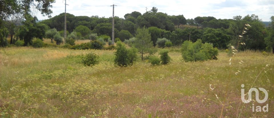 Terreno urbano em Montargil de 7 500 m²