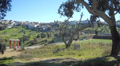 Terrain à bâtir à Montargil de 7 500 m²