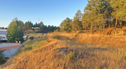 Terrain à Guarda de 635 m²
