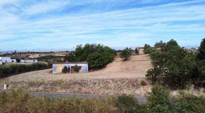 Maison rustique T0 à Abitureiras de 2 177 m²