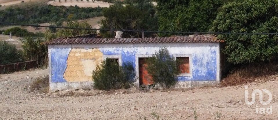 Maison rustique T0 à Abitureiras de 2 177 m²