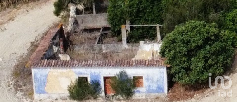 Maison rustique T0 à Abitureiras de 2 177 m²