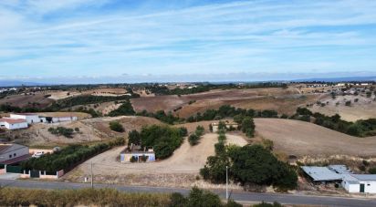 Maison rustique T0 à Abitureiras de 2 177 m²