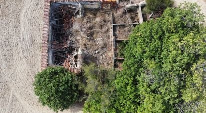 Maison rustique T0 à Abitureiras de 2 177 m²