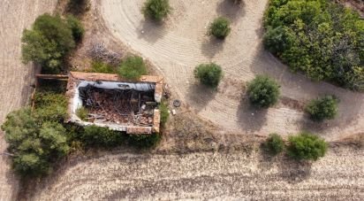 Maison rustique T0 à Abitureiras de 2 177 m²