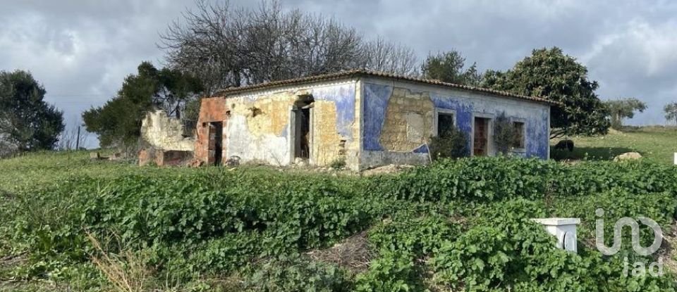 Maison rustique T0 à Abitureiras de 2 177 m²