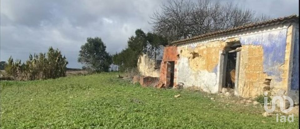 Maison rustique T0 à Abitureiras de 2 177 m²