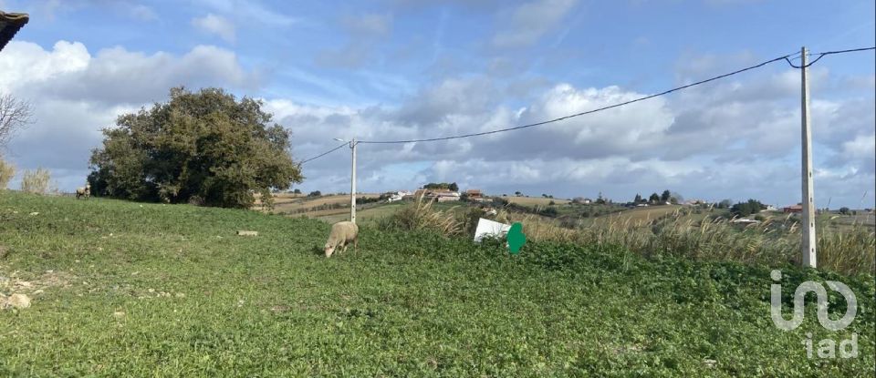 Maison rustique T0 à Abitureiras de 2 177 m²