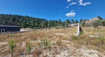 Terrain à bâtir à Aguiar da Beira e Coruche de 1 253 m²