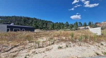 Terrain à bâtir à Aguiar da Beira e Coruche de 1 253 m²