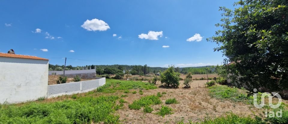Building land in Aguiar da Beira e Coruche of 1,253 m²