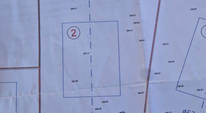 Terrain à bâtir à Aguiar da Beira e Coruche de 1 253 m²